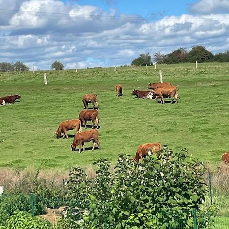 Le Gite Du Vieux Chene Bertogne Esterno foto