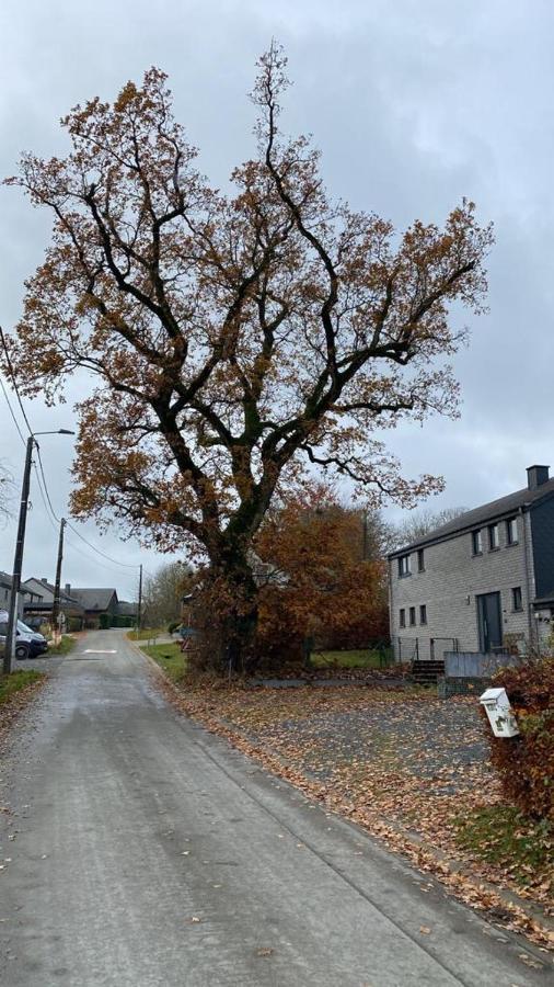 Le Gite Du Vieux Chene Bertogne Esterno foto